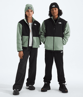 Boys Girls Denali Jacket TNF Slate Moss Main