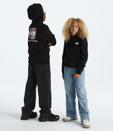 Boys Girls Evolution Print Box NSE Pullover Hoodie TNF TNF Black Main