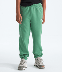 Boys Girls Evolution Simple Dome Pants TNF Dimmed Algae HERO2