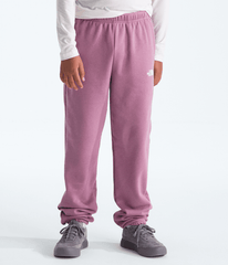Boys Girls Evolution Simple Dome Pants TNF Hushed Lavender HERO3