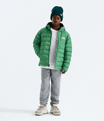 Boys Reversible Perrito Hooded Jacket TNF Dimmed Algae HERO2