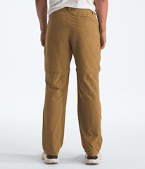 Mens Basin Convertible Pants TNF BACK