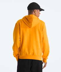 Mens Evolution BTS HoodieGraphic TNF BACK