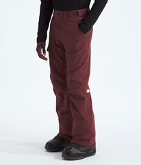 Mens Freedom Pants TNF Sumac MODEL34