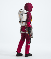 Summit Series Advanced Mountain Kit 25L Pack TNF ALT1