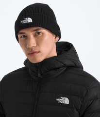 TNF Logo Box Cuffed Beanie TNF TNF Black MODELBACK