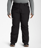 Womens Plus Freedom Insulated Pants TNF Main