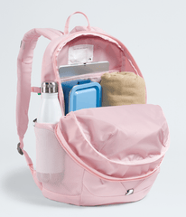 Youth Court Jester Backpack 246L TNF Pale BlossomTNF White INT