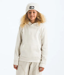 Boys’ & Girls’ Evolution Print Box NSE Pullover Hoodie