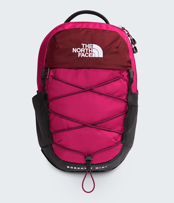 Borealis Mini Backpack  10L TNF HERO