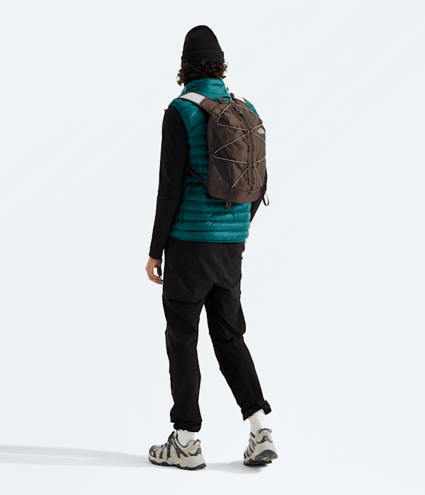 Borealis Trail 16 Backpack TNF Dark ChesnutGarnet MODELBACK
