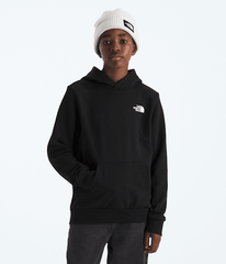 Boys  Girls Evolution Print Box NSE Pullover Hoodie TNF TNF Black BACK
