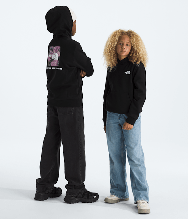 Boys  Girls Evolution Print Box NSE Pullover Hoodie TNF TNF Black Main