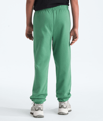 Boys  Girls Evolution Simple Dome Pants TNF BACK