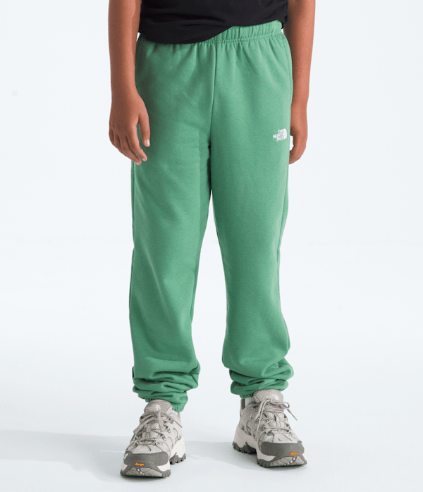 Boys  Girls Evolution Simple Dome Pants TNF Dimmed Algae HERO2