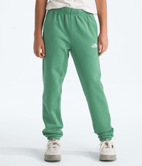 Boys  Girls Evolution Simple Dome Pants TNF Dimmed Algae HERO3