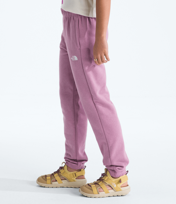 Boys  Girls Evolution Simple Dome Pants TNF Hushed Lavender MODEL34