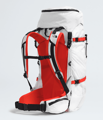 Cobra 65 Backpack TNF BACK