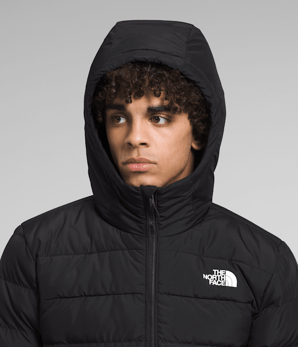 Mens Aconcagua 3 Hoodie TNF TNF Black MODELHOOD2
