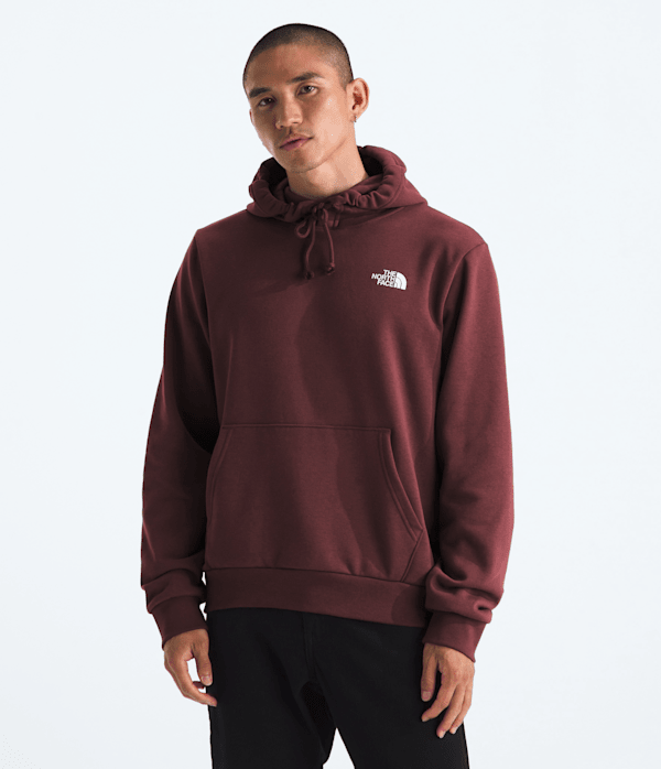 Mens Evolution Box Camo Fill HoodieGraphic TNF Sumac BACK