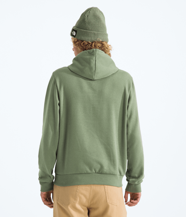 Mens Evolution TNF Bear HoodieGraphic TNF Bark Mist BACK