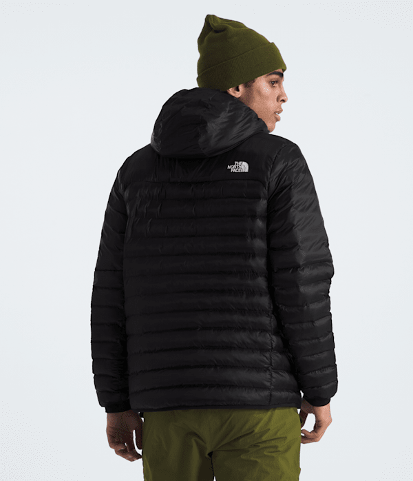 Mens Terra Peak Hoodie TNF BACK