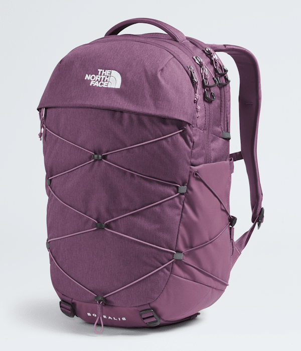 Womens Borealis Backpack  27L TNF FRONT34