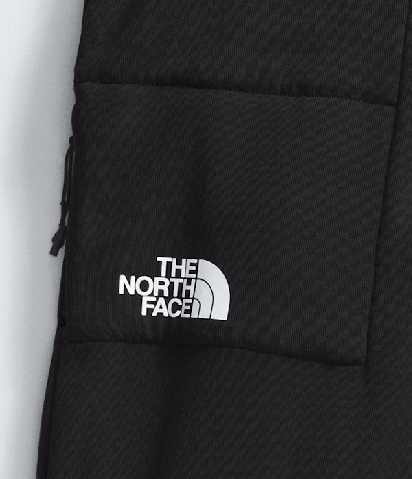 Womens Summit Series FUTUREFLEECE Pants TNF ALTFRONT