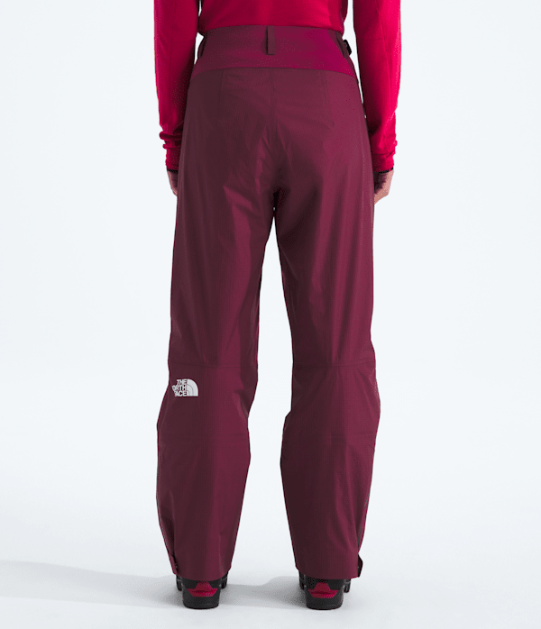 Womens Summit Series FUTURELIGHT AMK Ski Pants TNF BACK