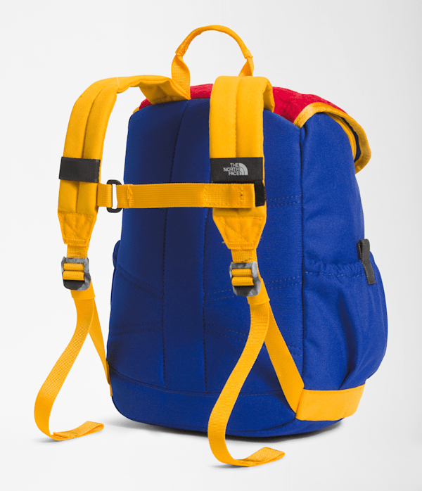 Youth Mini Explorer Backpack  10L TNF TNF RedDeep Grass GreenTNF BlueSummit Gold BACK