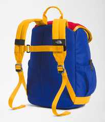 Youth Mini Explorer Backpack  10L TNF TNF RedDeep Grass GreenTNF BlueSummit Gold BACK