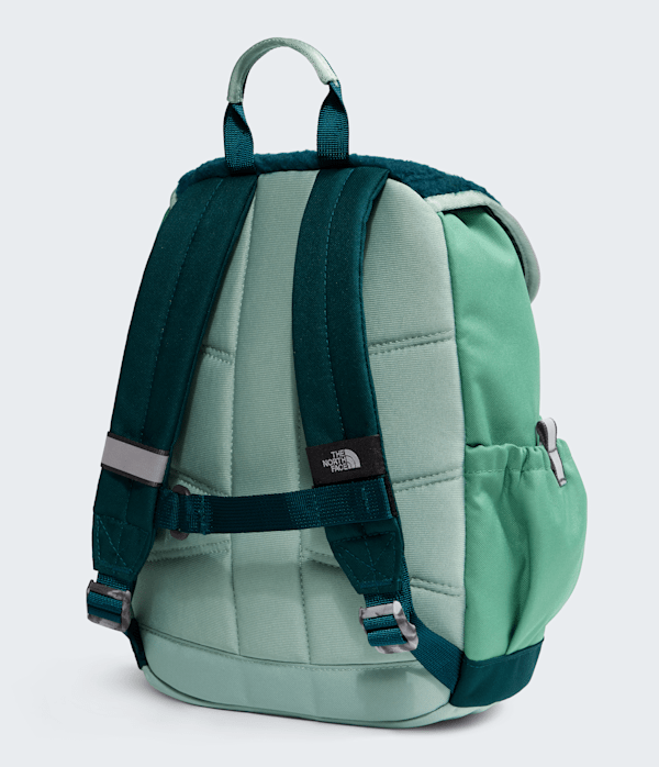 Youth Mini Explorer Backpack  10L TNF Dimmed AlgaeSlate MossPacific Teal BACK