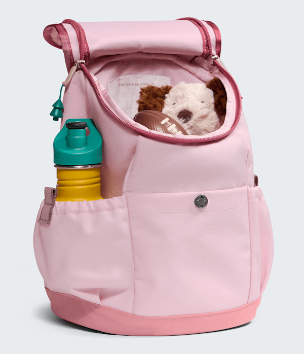 Youth Mini Explorer Backpack  10L TNF DETAIL1