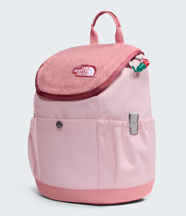 Youth Mini Explorer Backpack  10L TNF FRONT34